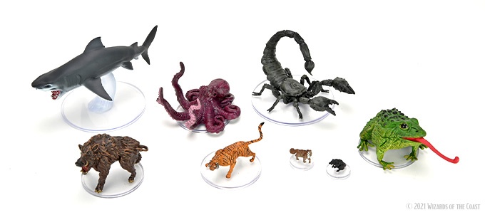 dnd-spelleffects-wildshapepolymorph2-cover