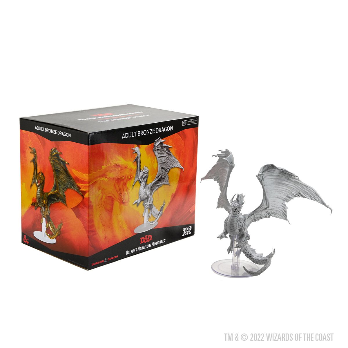 bronze-dragon5
